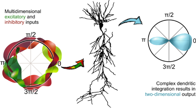 Creative Github neural representation os sketch drawings for 