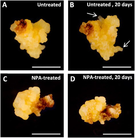 figure7