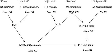 figure1