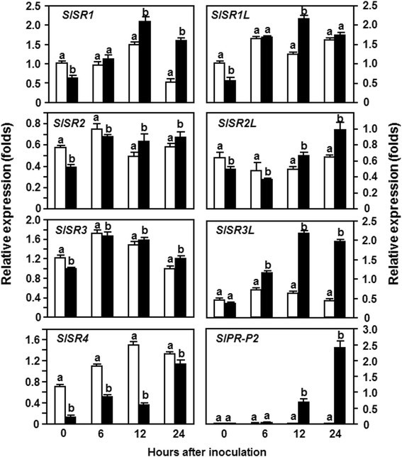 figure2