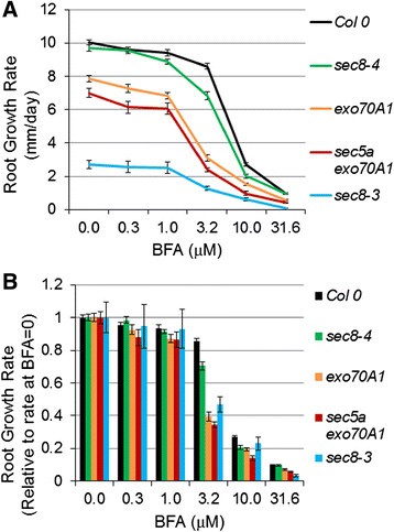 figure5