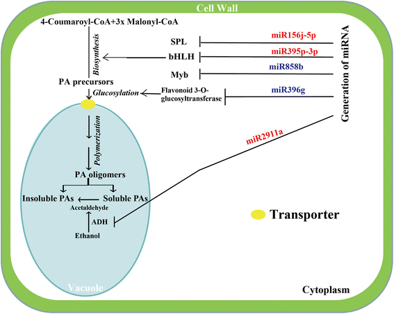 figure 8