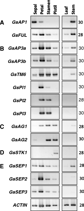 figure2