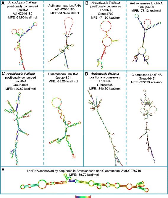 figure5