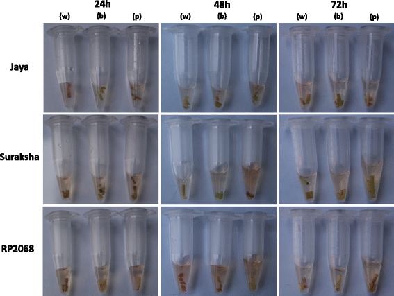 figure7