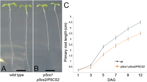 figure1