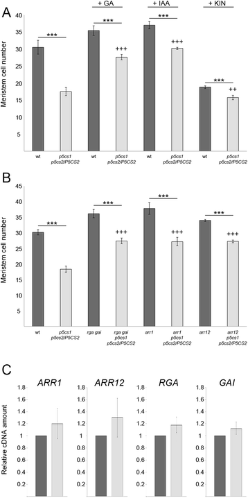 figure4