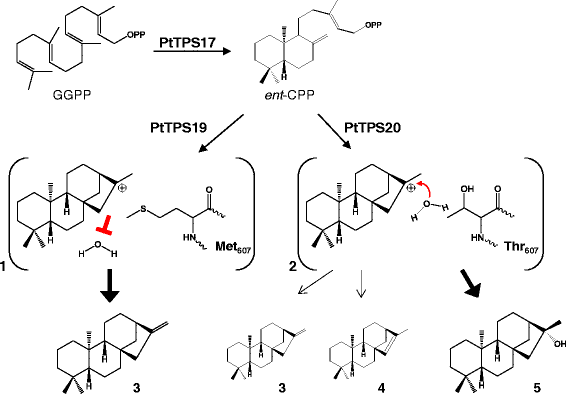 figure8gydF4y2Ba