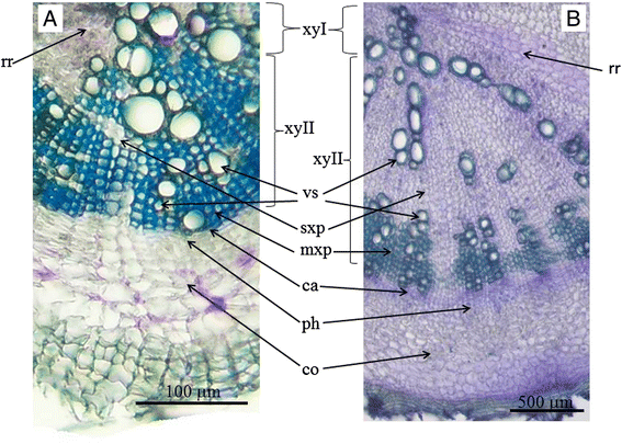 图1GydF4y2Ba