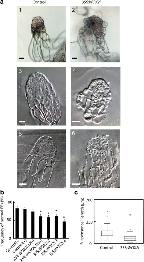 figure3