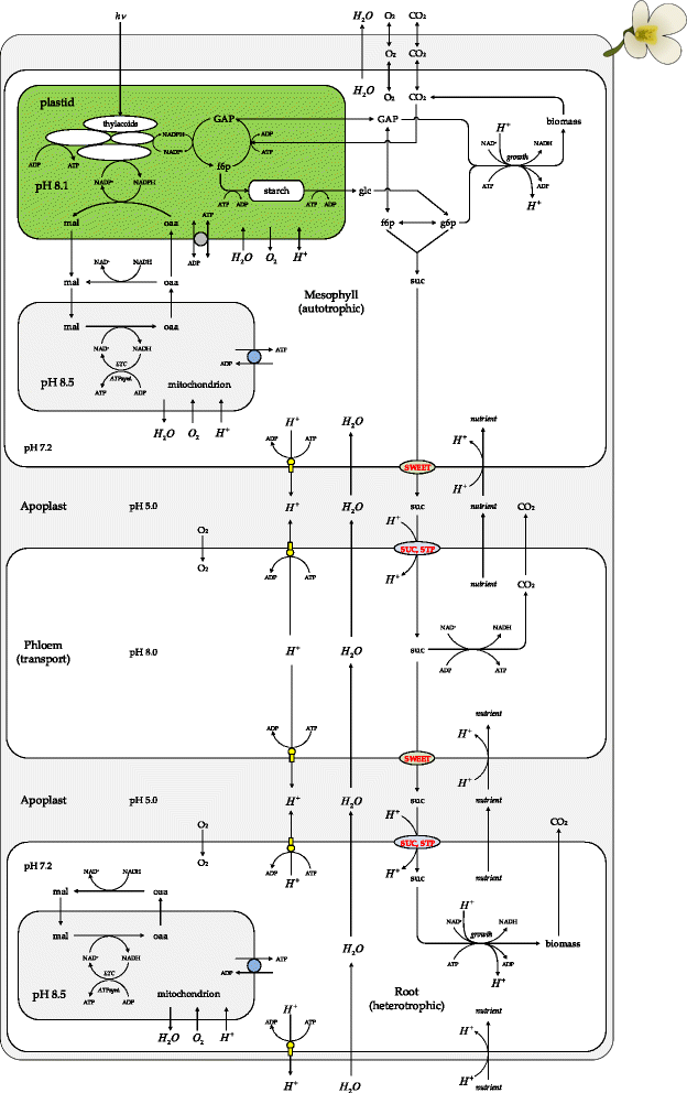 图4gydF4y2Ba