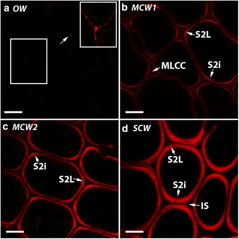 figure3