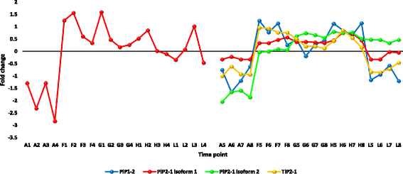 figure12