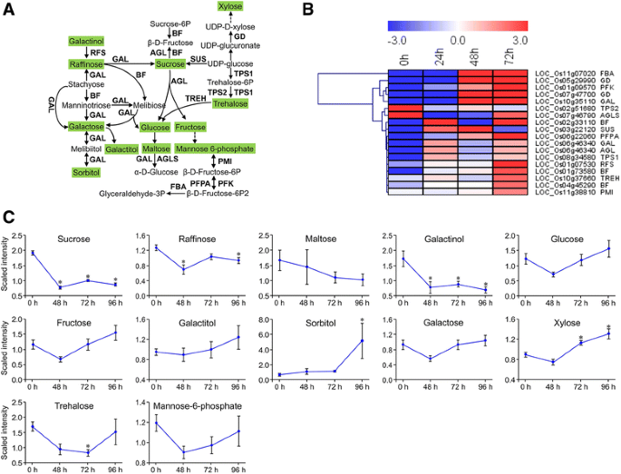 figure6