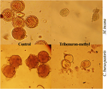 figure6gydF4y2Ba