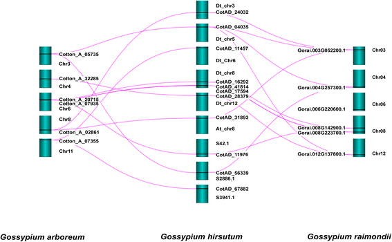 图2.