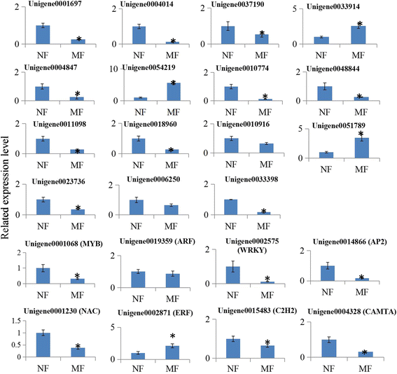 figure6