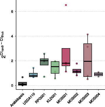 figure5