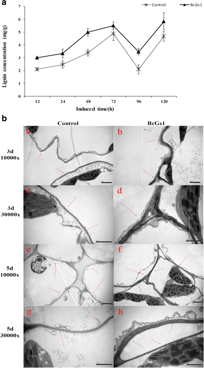 figure6