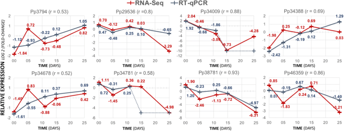 figure6