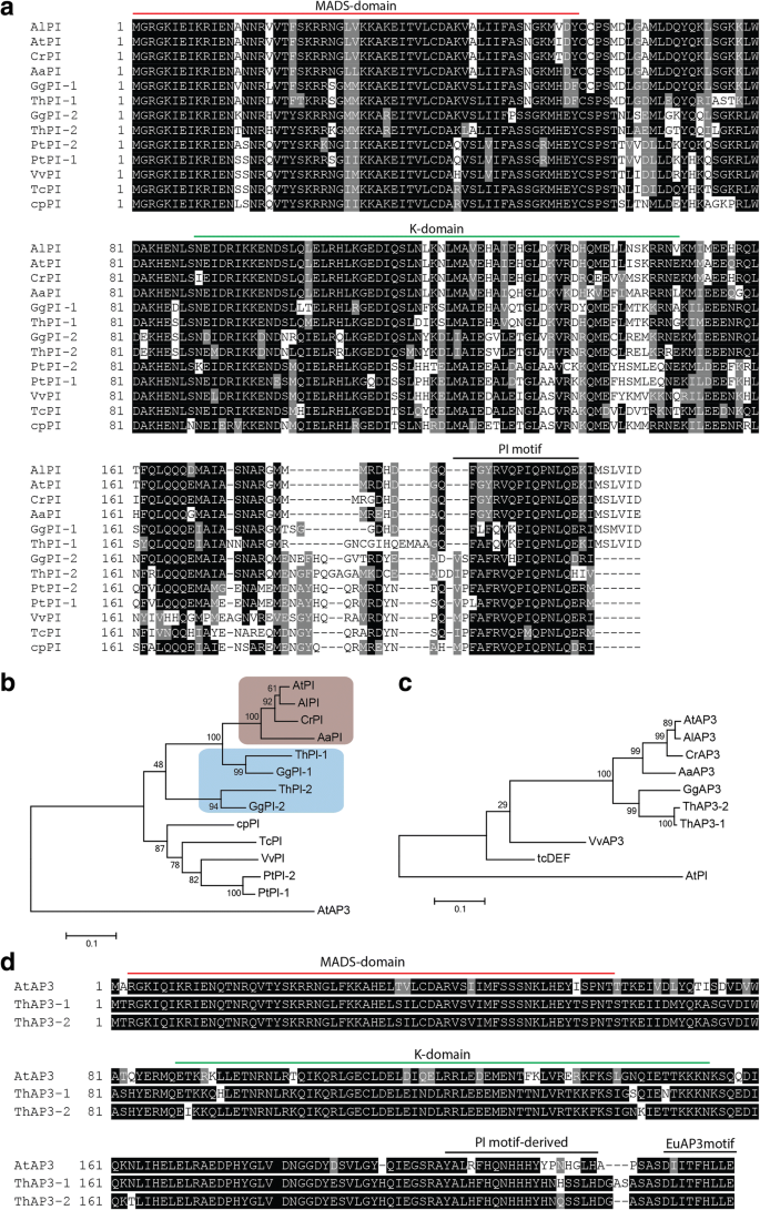 figure2