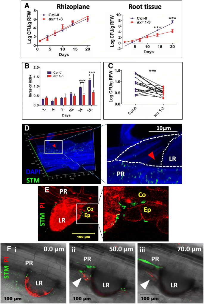 figure2