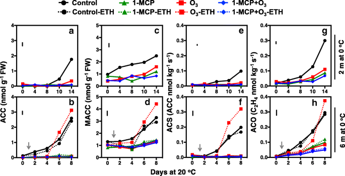 Ozone Induced Inhibition Of Kiwifruit Ripening Is Amplified By 1 Methylcyclopropene And Reversed By Exogenous Ethylene Bmc Plant Biology Full Text