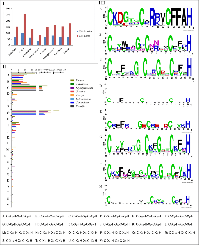 figure2