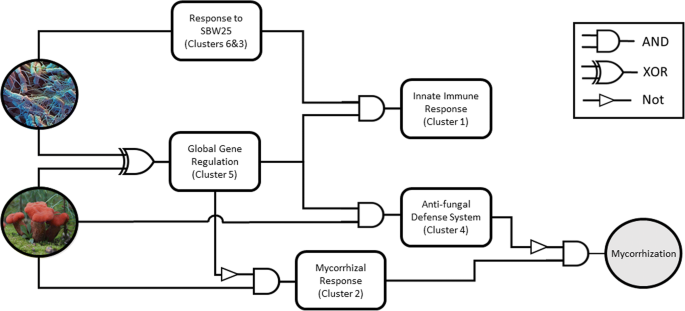 figure5