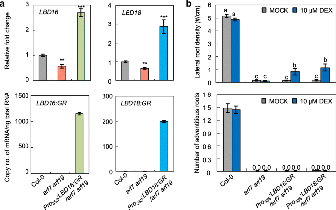 figure6