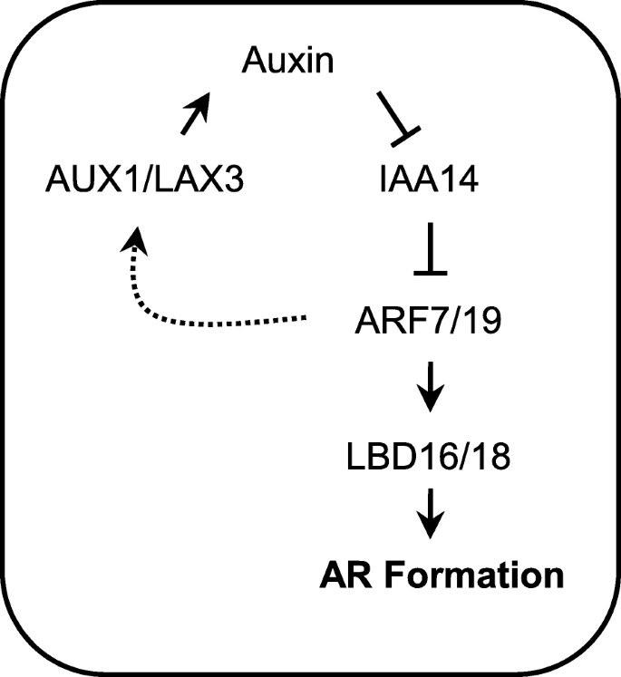 figure7