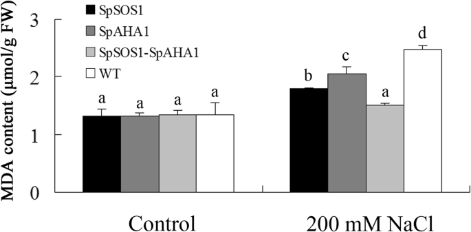 figure6