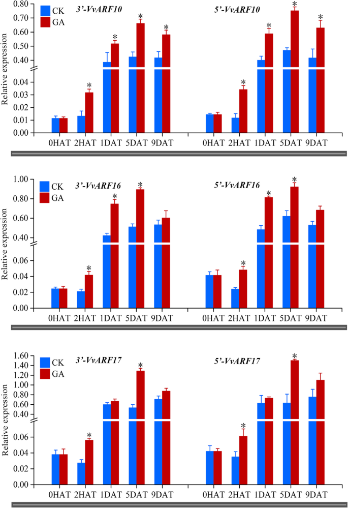 figure11