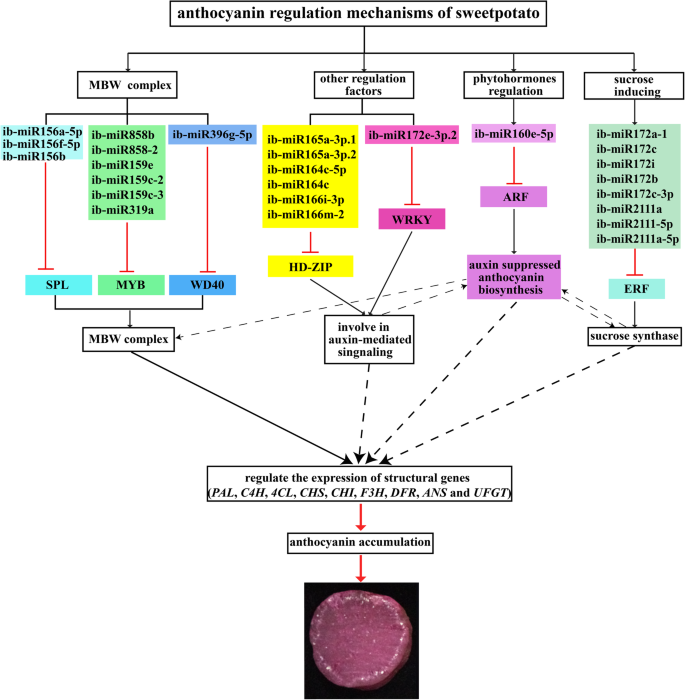 figure11