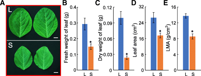 figure6