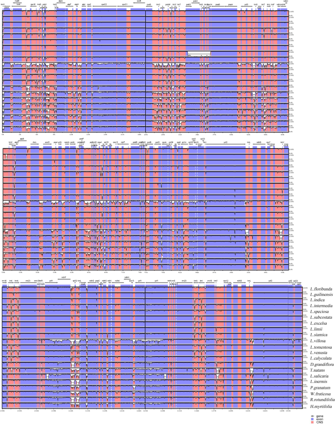 figure2