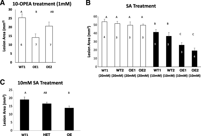 figure2