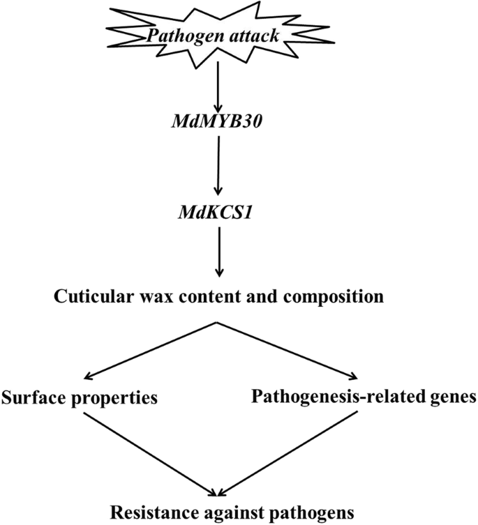 figure9