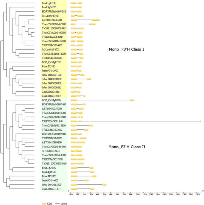 figure2