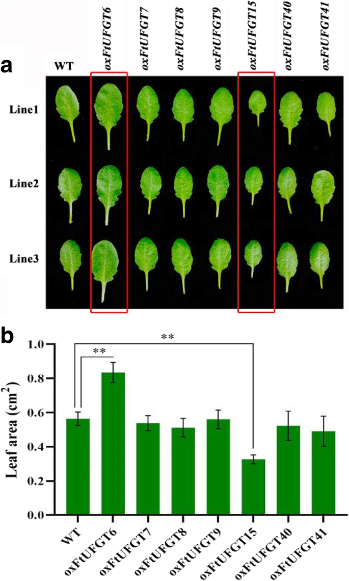 figure6