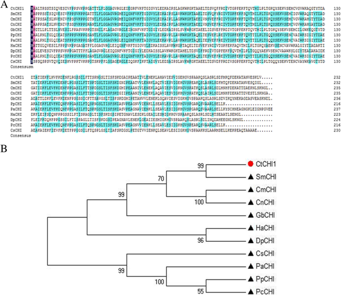 figure2