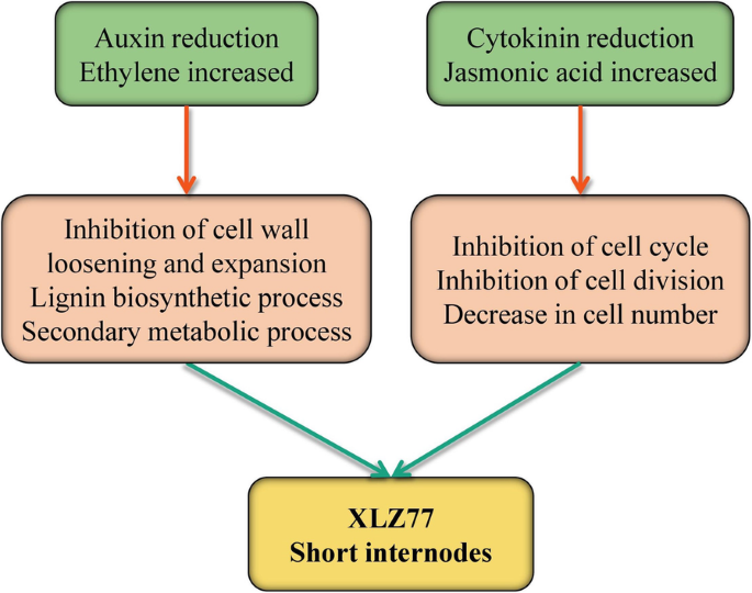 figure6