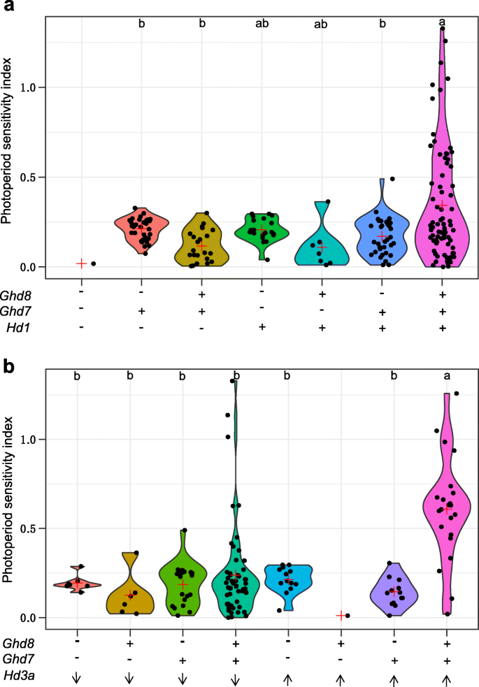 figure2