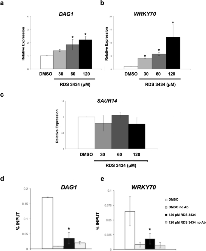 Inhibition of Polycomb Repressive Complex 2 activity reduces trimethylation  of H3K27 and affects development in Arabidopsis seedlings | BMC Plant  Biology | Full Text