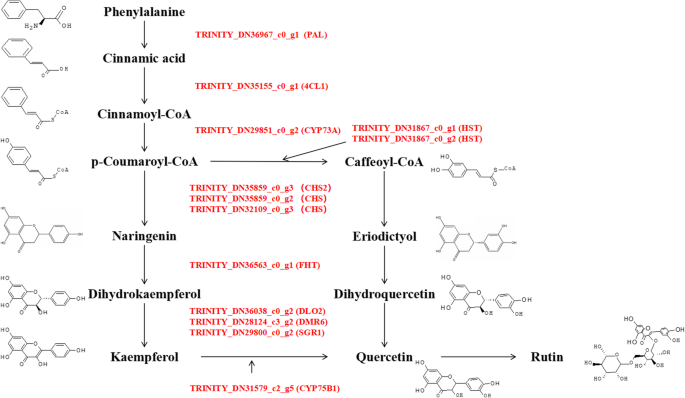 图5.GydF4y2Ba