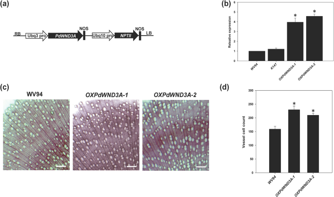 figure2