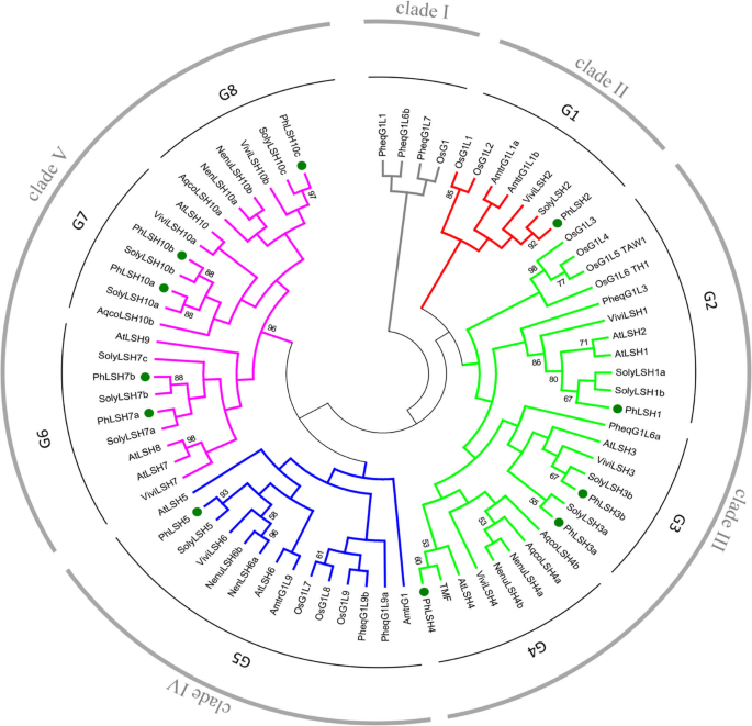 figure2gydF4y2Ba