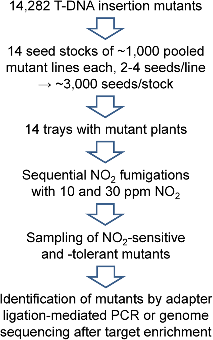 figure1