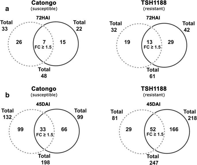 figure5