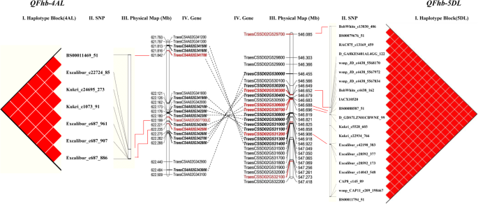 figure6